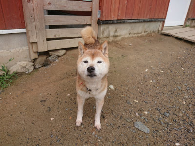 f:id:roukenhome-ann:20190702132440j:plain