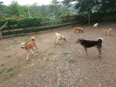 f:id:roukenhome-ann:20190702132445j:plain
