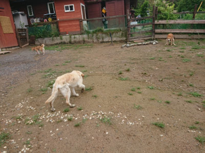 f:id:roukenhome-ann:20190702132520j:plain