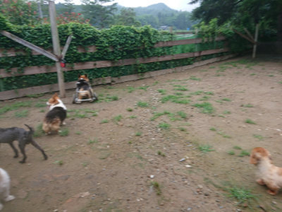 f:id:roukenhome-ann:20190702135542j:plain
