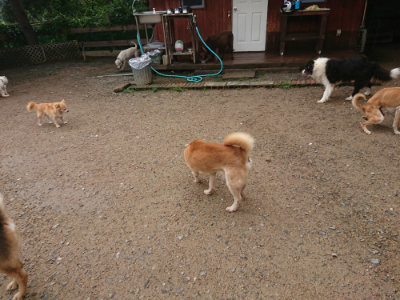 f:id:roukenhome-ann:20190702135618j:plain
