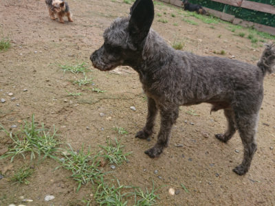 f:id:roukenhome-ann:20190702135717j:plain