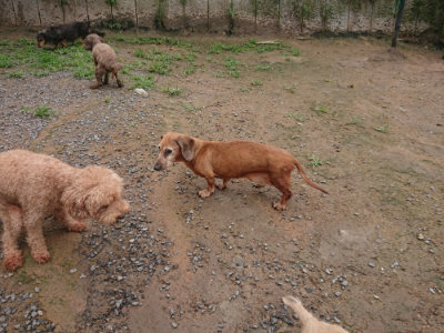 f:id:roukenhome-ann:20190702135740j:plain