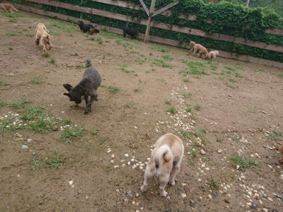 f:id:roukenhome-ann:20190702135746j:plain