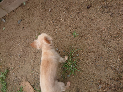 f:id:roukenhome-ann:20190702135751j:plain