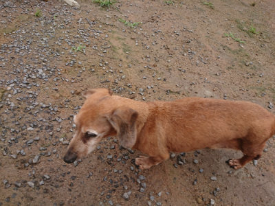 f:id:roukenhome-ann:20190702135826j:plain