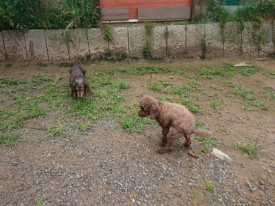 f:id:roukenhome-ann:20190702135832j:plain