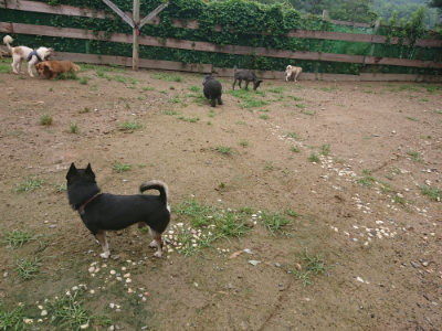 f:id:roukenhome-ann:20190702135851j:plain