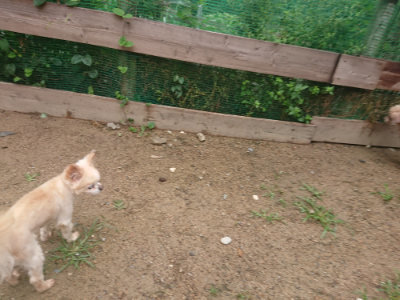 f:id:roukenhome-ann:20190702135908j:plain