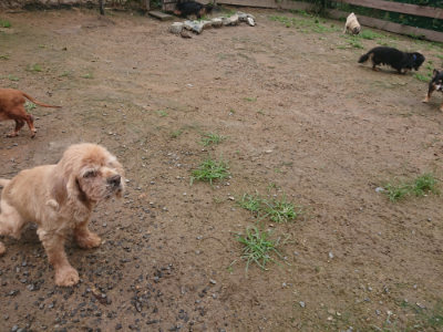 f:id:roukenhome-ann:20190702135914j:plain