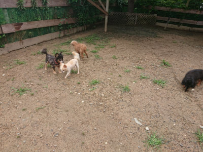 f:id:roukenhome-ann:20190702135920j:plain