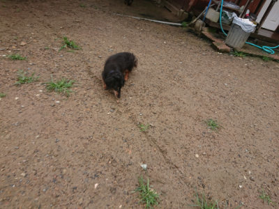 f:id:roukenhome-ann:20190702135924j:plain