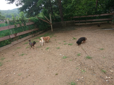 f:id:roukenhome-ann:20190702135956j:plain