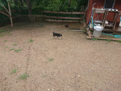 f:id:roukenhome-ann:20190702140014j:plain