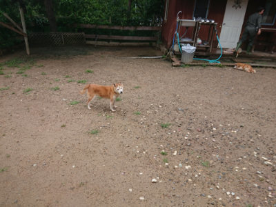 f:id:roukenhome-ann:20190702140019j:plain