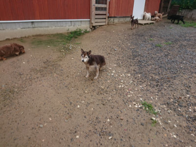 f:id:roukenhome-ann:20190702140024j:plain