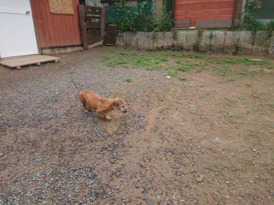 f:id:roukenhome-ann:20190702140030j:plain