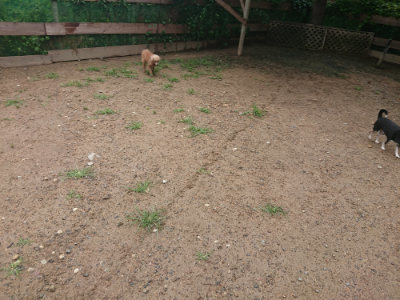 f:id:roukenhome-ann:20190702140036j:plain