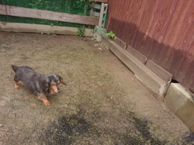 f:id:roukenhome-ann:20190702140040j:plain