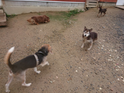 f:id:roukenhome-ann:20190702140047j:plain