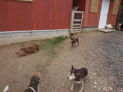 f:id:roukenhome-ann:20190702140052j:plain