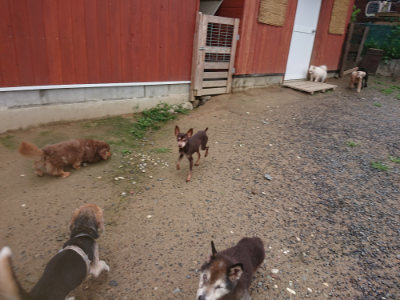f:id:roukenhome-ann:20190702140110j:plain