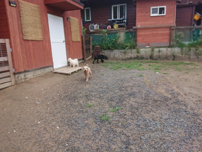 f:id:roukenhome-ann:20190702140124j:plain