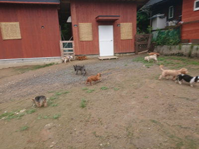 f:id:roukenhome-ann:20190702140134j:plain