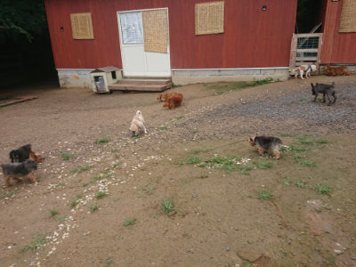 f:id:roukenhome-ann:20190702140138j:plain