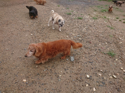 f:id:roukenhome-ann:20190702150535j:plain