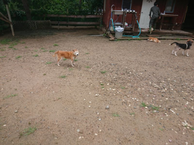 f:id:roukenhome-ann:20190702150545j:plain