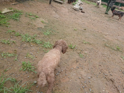 f:id:roukenhome-ann:20190702150550j:plain