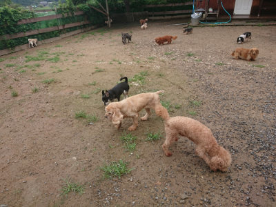 f:id:roukenhome-ann:20190702150621j:plain