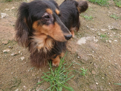 f:id:roukenhome-ann:20190702150633j:plain