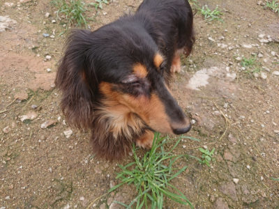 f:id:roukenhome-ann:20190702150638j:plain