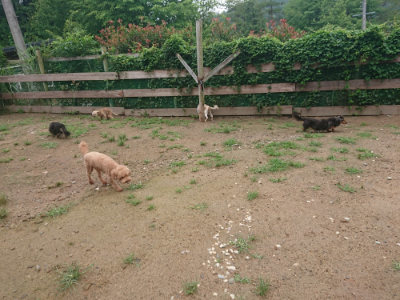 f:id:roukenhome-ann:20190702150655j:plain