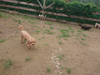 f:id:roukenhome-ann:20190702150718j:plain