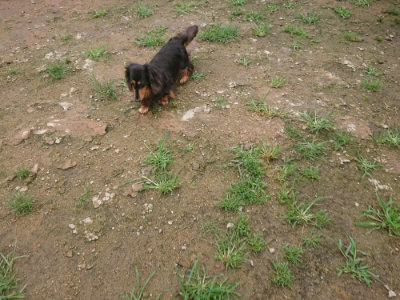 f:id:roukenhome-ann:20190702150729j:plain