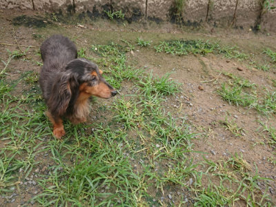 f:id:roukenhome-ann:20190702150734j:plain