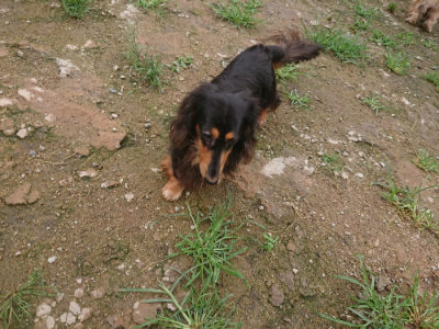 f:id:roukenhome-ann:20190702150748j:plain