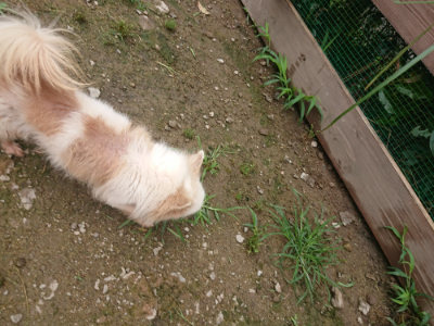 f:id:roukenhome-ann:20190702150813j:plain
