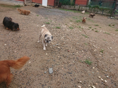 f:id:roukenhome-ann:20190702150826j:plain