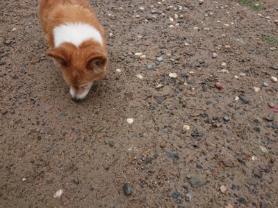 f:id:roukenhome-ann:20190702150902j:plain