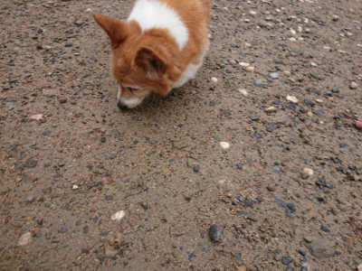 f:id:roukenhome-ann:20190702150908j:plain