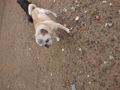 f:id:roukenhome-ann:20190702150921j:plain
