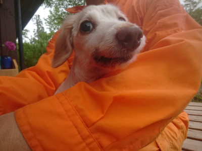 f:id:roukenhome-ann:20190702185759j:plain