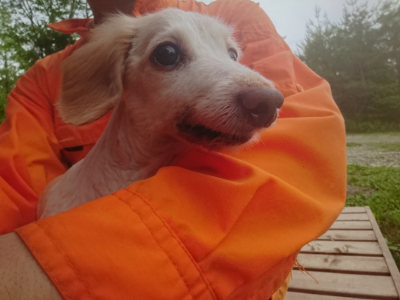 f:id:roukenhome-ann:20190702185842j:plain