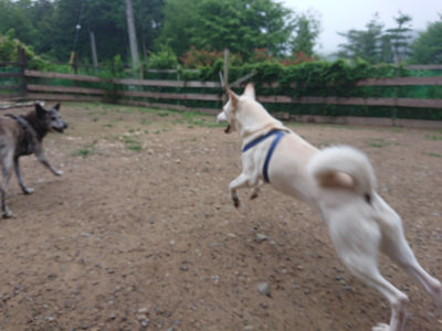 f:id:roukenhome-ann:20190703075732j:plain