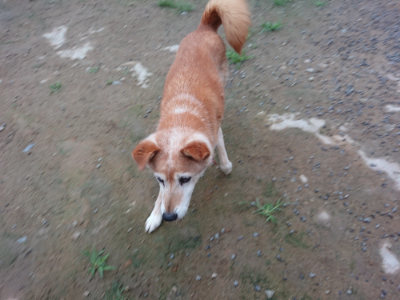 f:id:roukenhome-ann:20190703075736j:plain