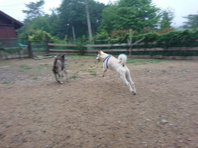 f:id:roukenhome-ann:20190703075740j:plain